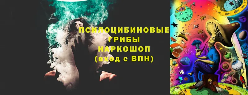 Псилоцибиновые грибы MAGIC MUSHROOMS  Болохово 